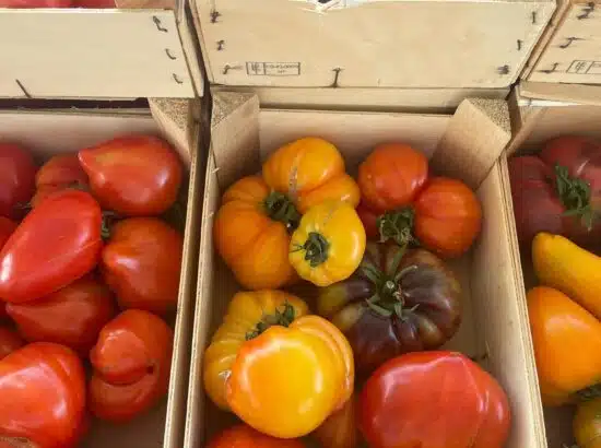 La Halle des Producteurs 