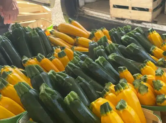 La Halle des Producteurs 