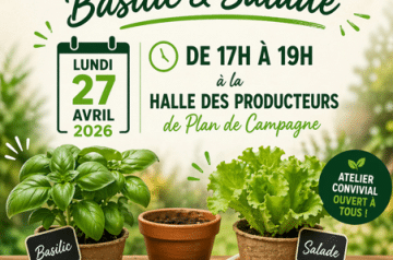 Les Halles des Producteurs “Rempotage pour une cuisine saine”